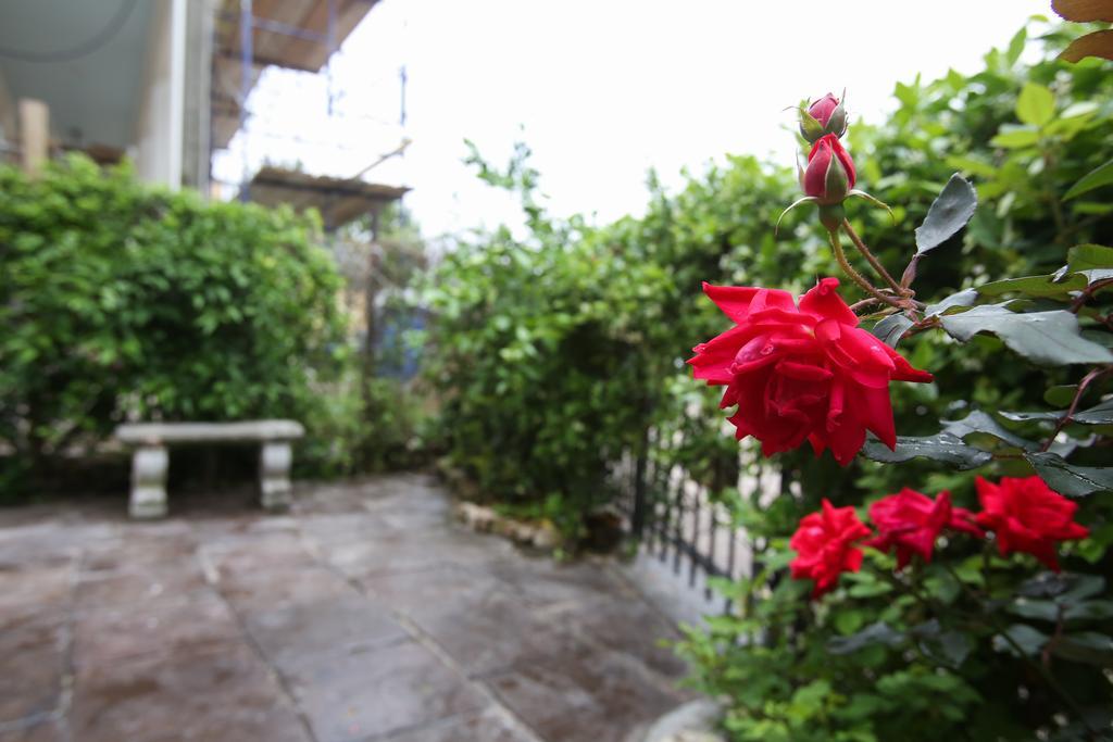 福丽迪乐斯住宿加早餐旅馆 新奥尔良 外观 照片